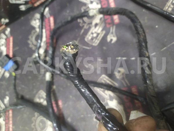 Проводка салона Рено Сандеро Степвей Renault 14 оригинальный номер 241634953r