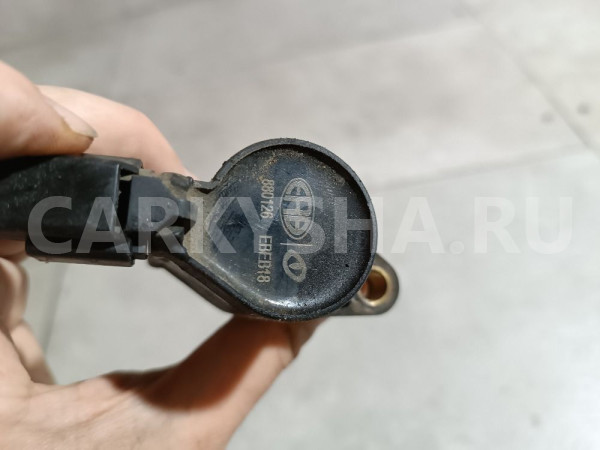 Катушка зажигания Ford Focus оригинальный номер 4M5G12A366BB