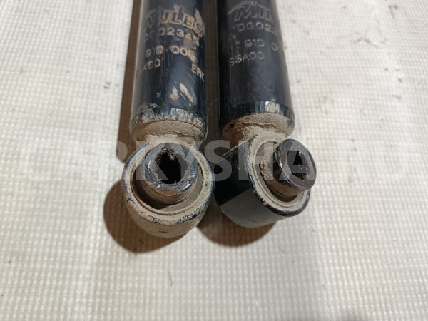 Амортизаторы задние к-кт Citroen C3 