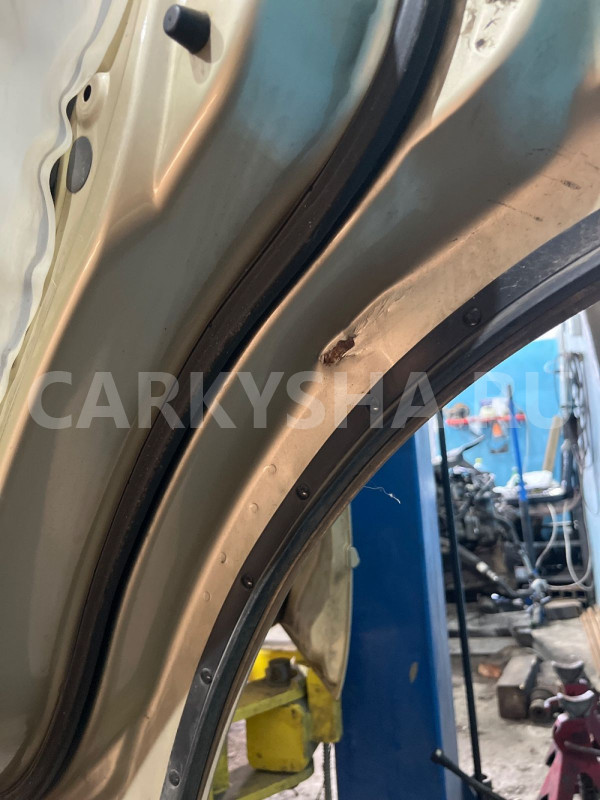 Дверь задняя правая SsangYong Kyron Ssang Yong Kyron оригинальный номер 6302131000