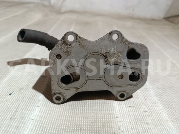 Радиатор масляный Volkswagen Passat 