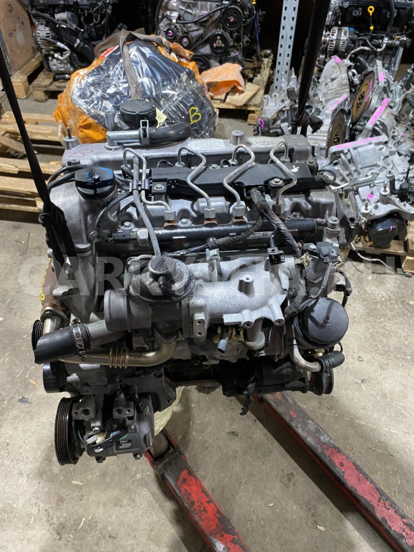Двигатель 664.951 D20DT Ssang Yong Kyron оригинальный номер 66401019A0
