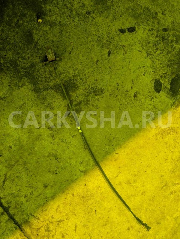 Тросик газа Toyota Corolla 