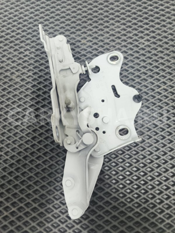 Петля капота BMW X6 2020 7418201 G06 B57D30A, левая BMW X6 