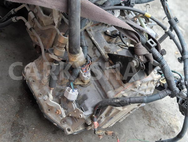 Акпп Toyota Celica оригинальный номер 305002B810, 305002B811