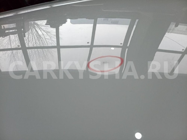 Крыша Chevrolet Aveo T300 седан Chevrolet Aveo оригинальный номер 95319967