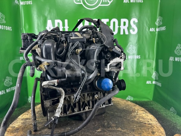 Двигатель Ford Focus 1998-2007 1215904 EDDB Ford Focus 