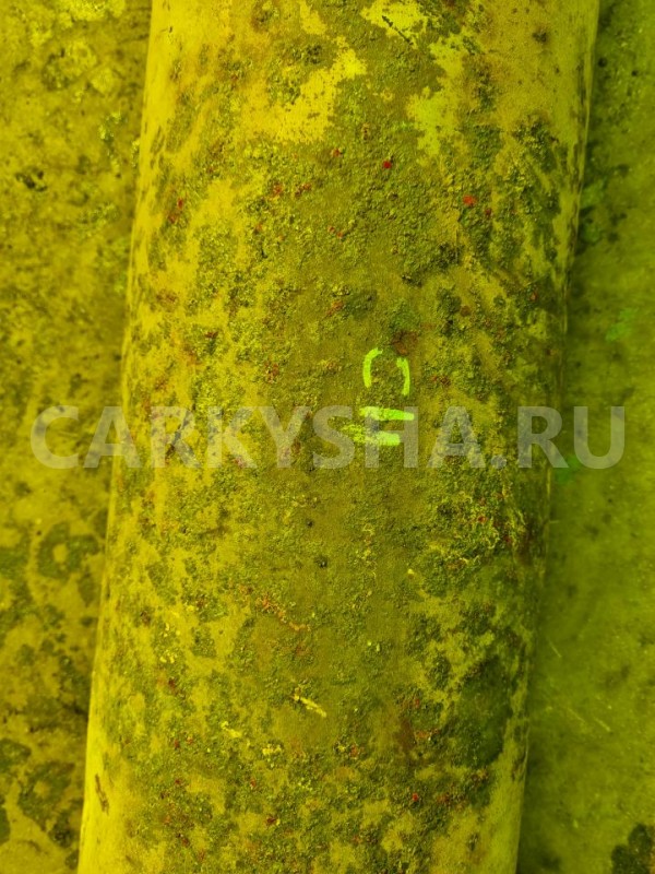 Глушитель Nissan Tiida 