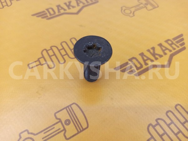 Болт распредвала Volkswagen Passat B6 BVY 2.0 2008 Volkswagen Passat 