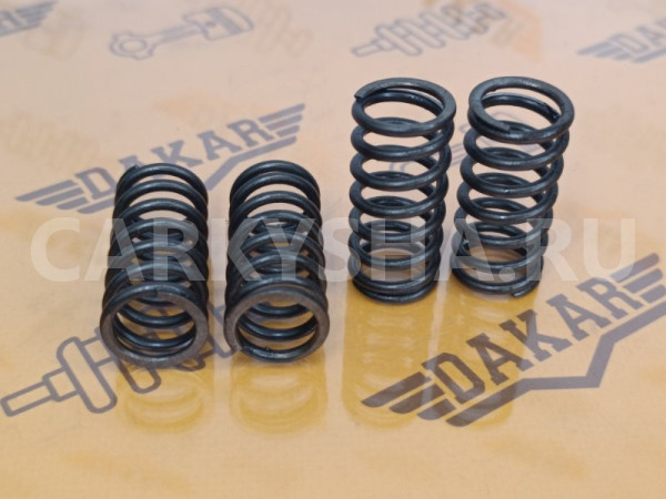 Комплект пружин клапана 4 шт BMW X1 E84 N47D20C BMW X1 