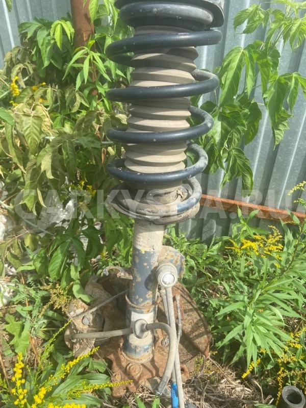 Амортизатор передний BMW X5 E53 (1999—2003) BMW X5 оригинальный номер 31311096271