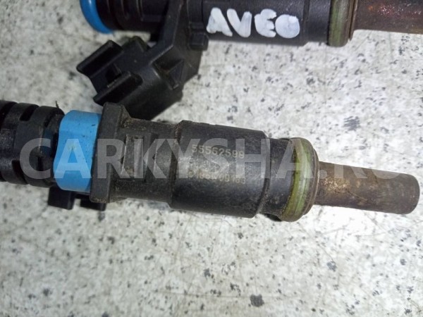 Форсунка топливная Chevrolet Aveo II (2011—2020) Chevrolet Aveo оригинальный номер 55562599