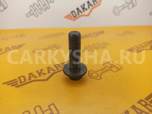 Болт распредвала Volkswagen Passat B5 AGZ 2.3 VR5 Volkswagen Passat 