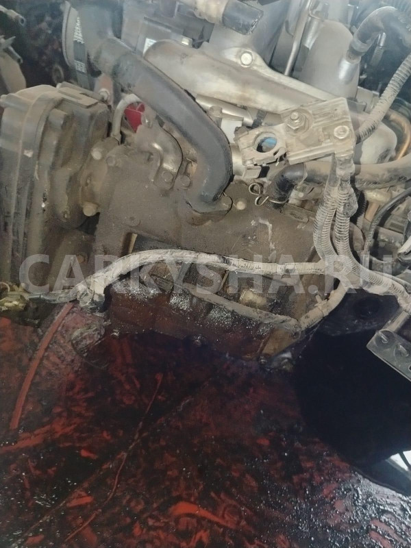Двигатель Subaru Forester оригинальный номер 10100BT260