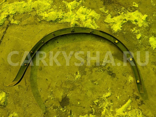 Дефендер Nissan Dualis 