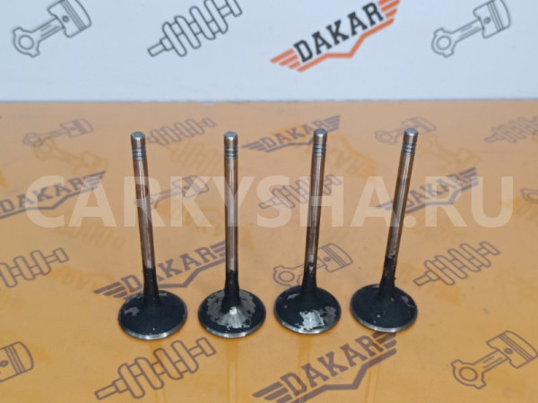 Комплект впускных клапанов 4 шт Volkswagen Passat Volkswagen Passat 