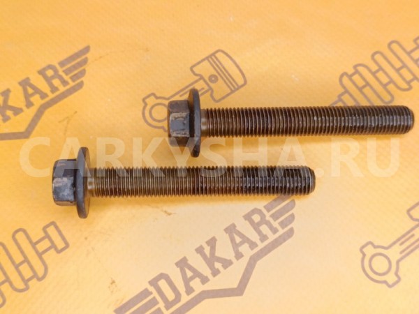 Болт распредвала Volkswagen Touareg 7LA BHK 3.6 Volkswagen Touareg 