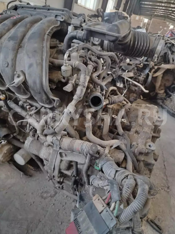 Двигатель Nissan Qashqai оригинальный номер 10102JN30F, 10102EW80F, 10102JE30F