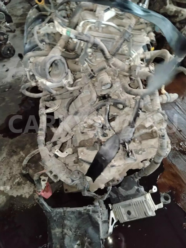 Акпп Toyota Wish оригинальный номер 3040012260, 3040002010