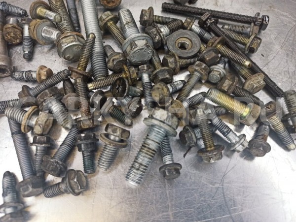 Комплект болтов двигателя Citroen C4 LA TU5JP4 Citroen C4 