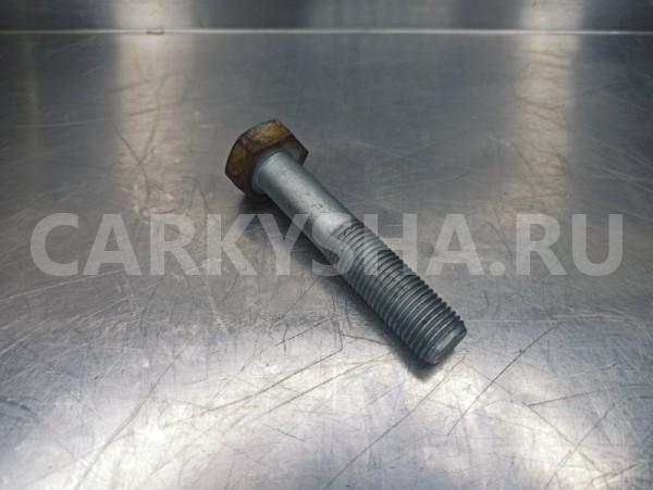 Болт коленвала Citroen C4 LA TU5JP4 (NFU) 1.6 2010 Citroen C4 