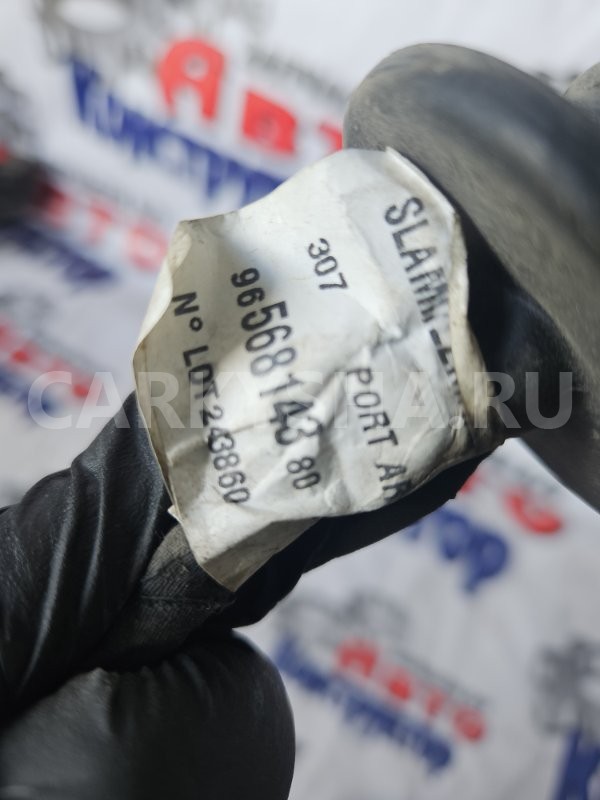 Проводка двери Peugeot 307 