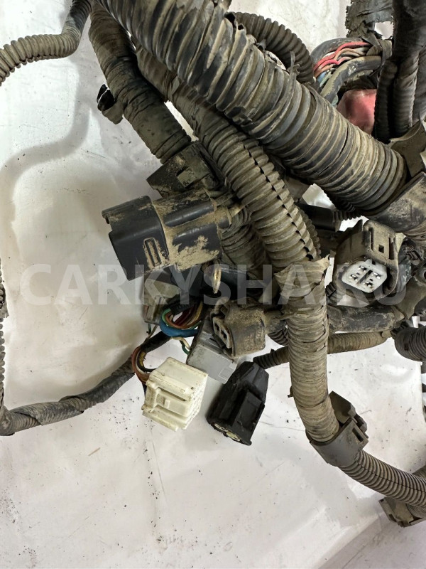 Проводка двигателя Toyota Corolla E150 Toyota Corolla оригинальный номер 8212112D70