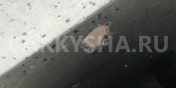 Дверь передняя правая Mercedes GL X164 ML W164 Mercedes-Benz M-klasse оригинальный номер 1647201005