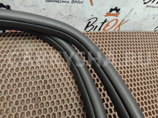 Резинка дверного проема BMW X1 