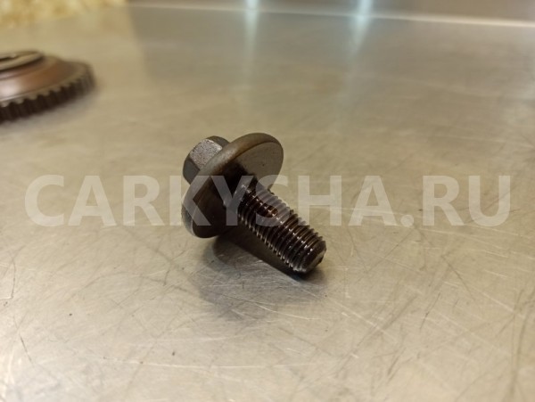 Болт распредвала Nissan Tiida C11 HR15DE 1.5 2010 Nissan Tiida 