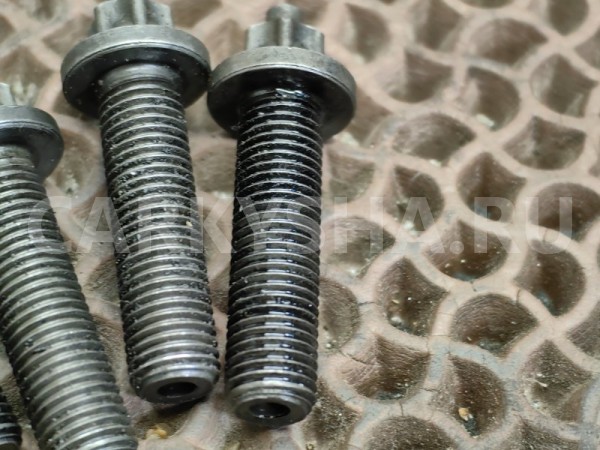 Болт распредвала BMW 5er 