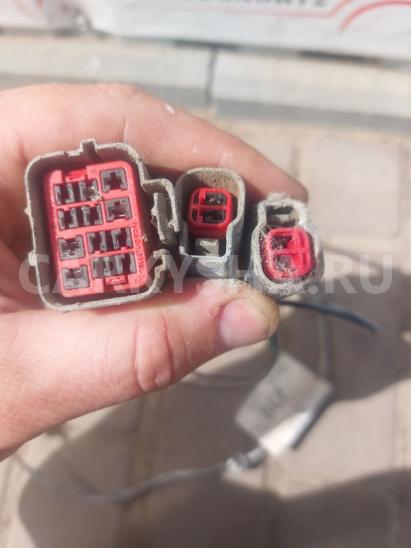 Проводка заднего бампера Ford Focus 2 Ford Focus оригинальный номер 4M5T15K868
