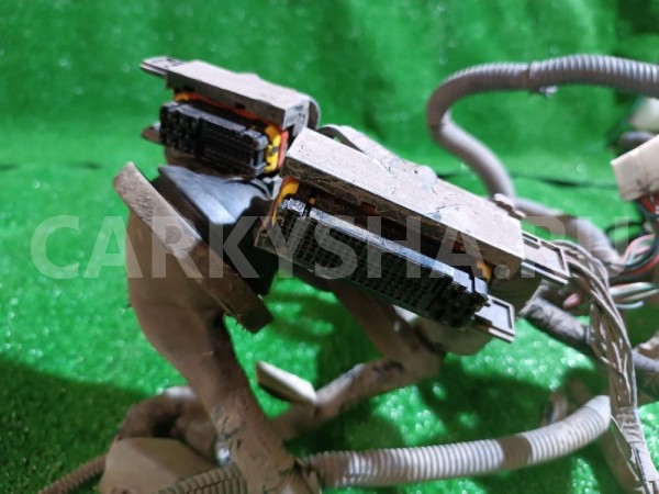 Коса моторная(проводка) Nissan Bluebird Sylphy оригинальный номер 240126N609