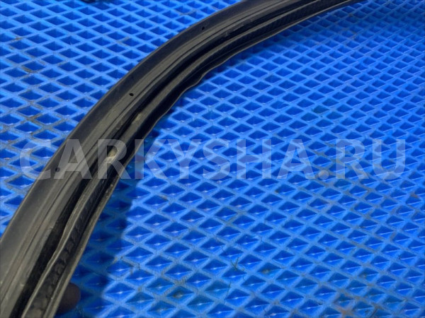 Уплотнитель задней левой двери Nissan Almera B10 Nissan Almera Classic оригинальный номер 7692495F0A