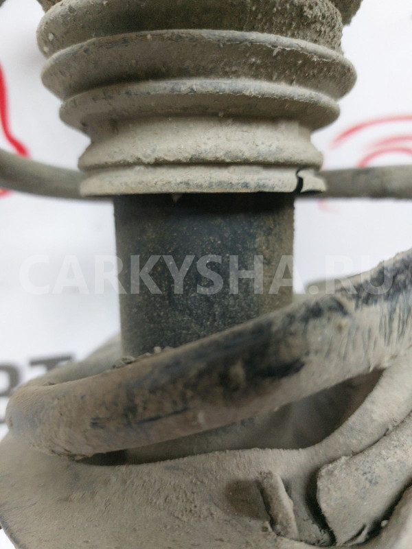 Амортизатор передний правый Hyundai Solaris Hyundai Solaris оригинальный номер 546604L100 3000
