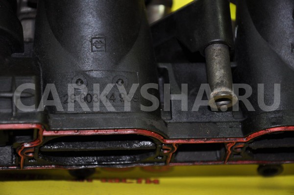 Рейка топливная (рампа) Volkswagen Passat 