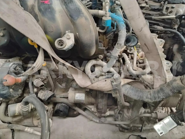 Двигатель Nissan Qashqai оригинальный номер 10102JN30F, 10102EW80F, 10102JE30F