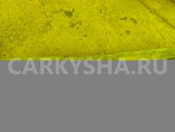 Пенопласт в бампер Ford Explorer 