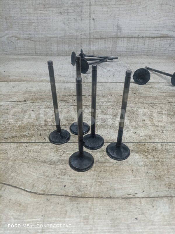 Клапан выпускной Ford Focus II (2005—2008) Ford Focus 