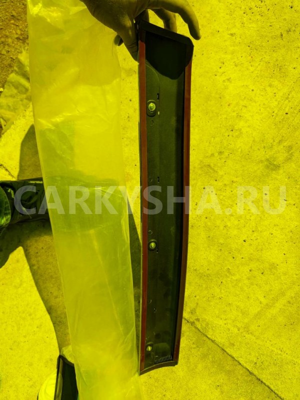 Молдинг на дверь Toyota Land Cruiser 