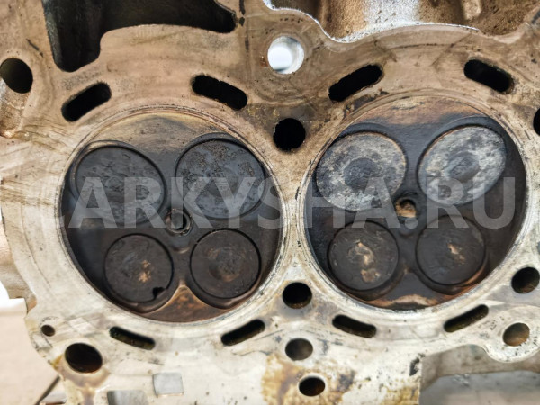 Головка блока цилиндров Nissan X-Trail оригинальный номер 11040ED80B