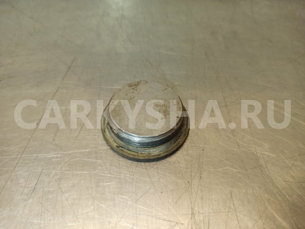 Заглушка блока цилиндров Subaru Forester SG5 EJ205 Subaru Forester 