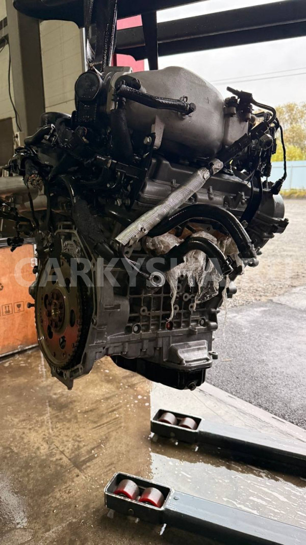 Двигатель G6DB Hyundai/Kia 3.3 Hyundai Grandeur оригинальный номер 137W13CS00