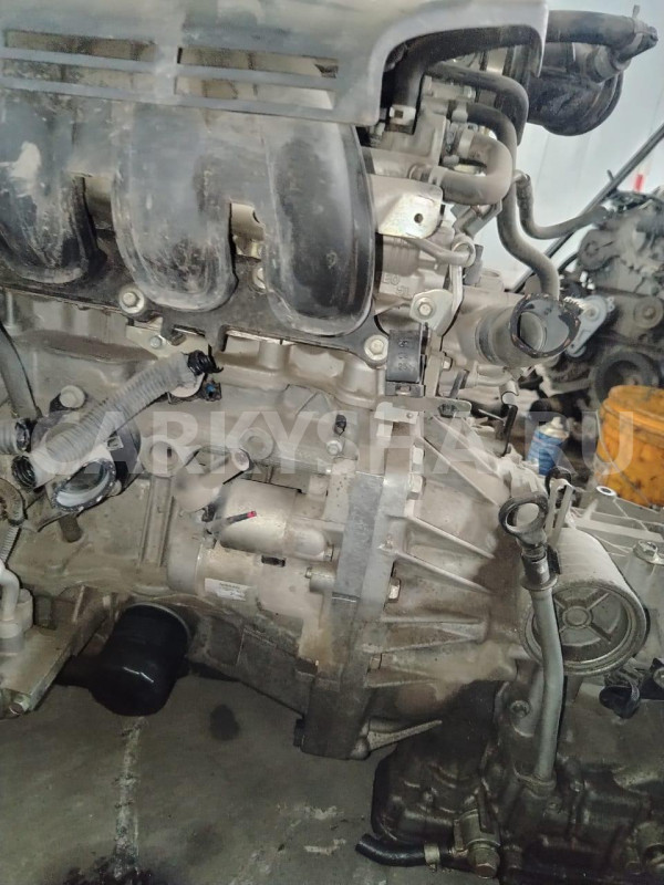 Двигатель Nissan Tiida оригинальный номер 10102ED51F